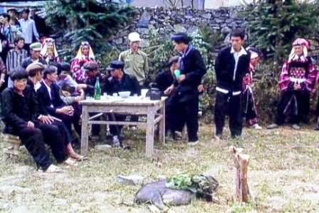Thảo luận về bảo tồn văn hóa các dân tộc thiểu số Việt Nam